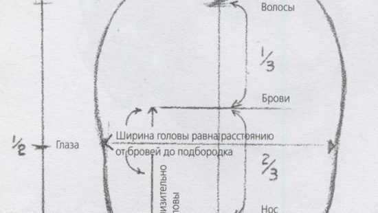 Основы рисунка: пропорции головы