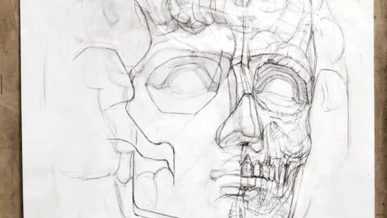Почему художнику важно глубоко изучать анатомию